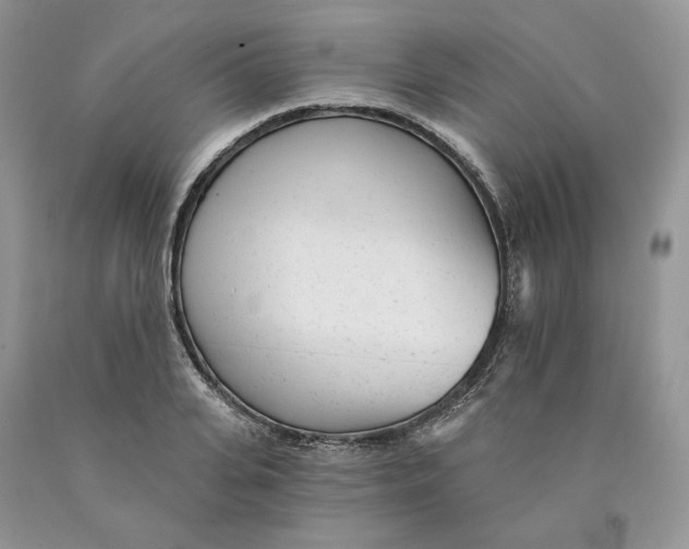 X0000089940935200707271815