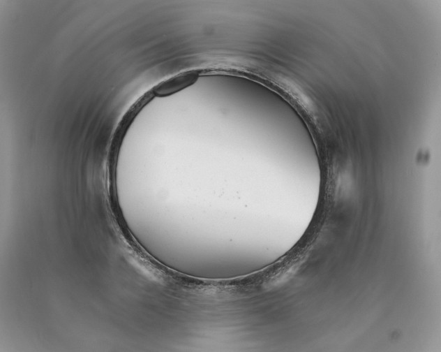 X0000089940936200707271815