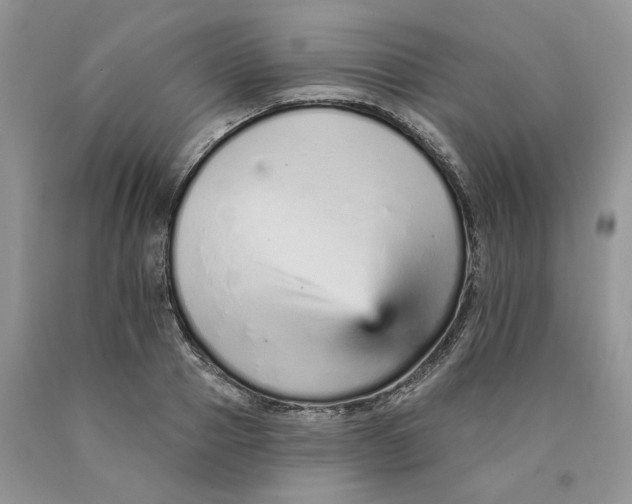 X0000089940937200707271815