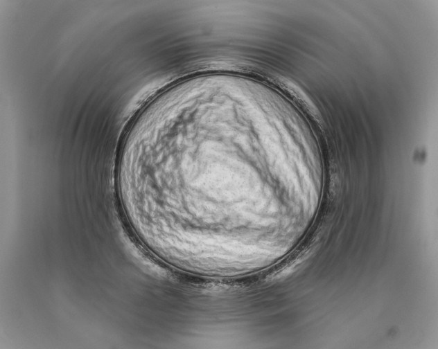 X0000089940938200707271815