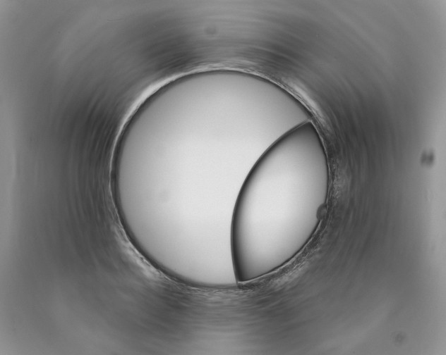 X0000089940940200707271815