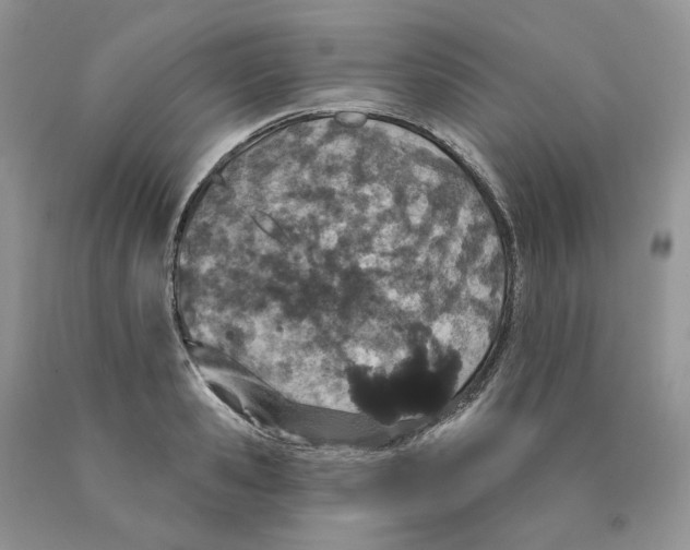 X0000089940941200707271815