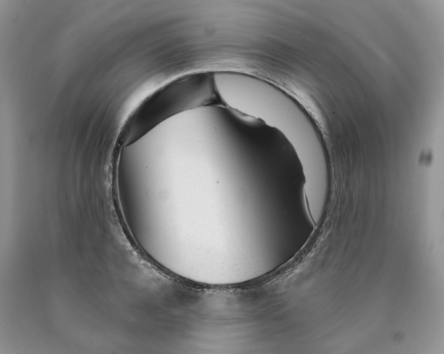 X0000089940944200707271815