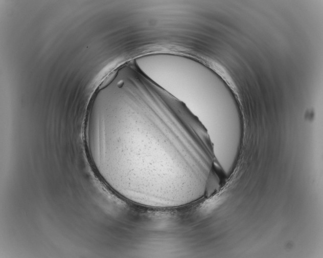 X0000089940946200707271815