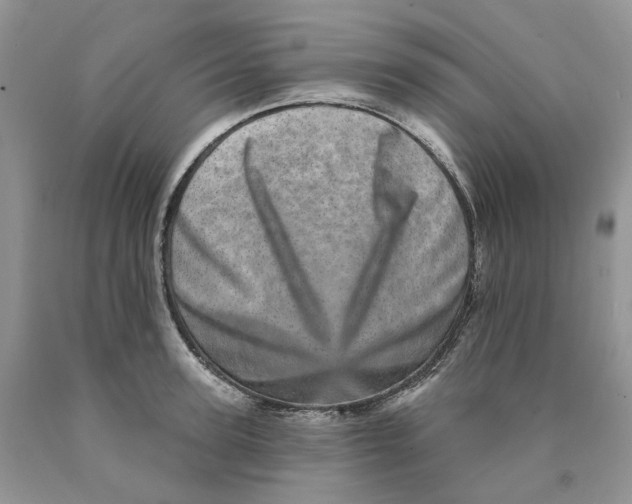 X0000089940947200707271815