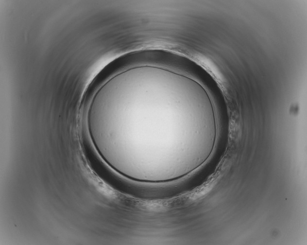 X0000089940948200707271815