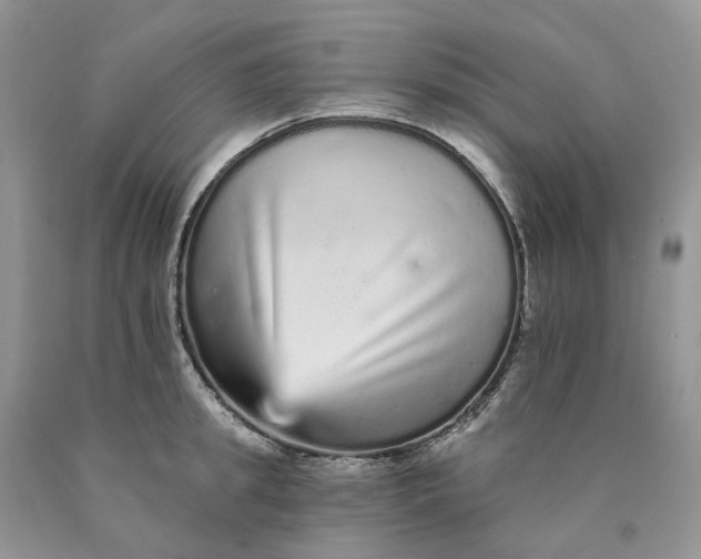 X0000089940949200707271815