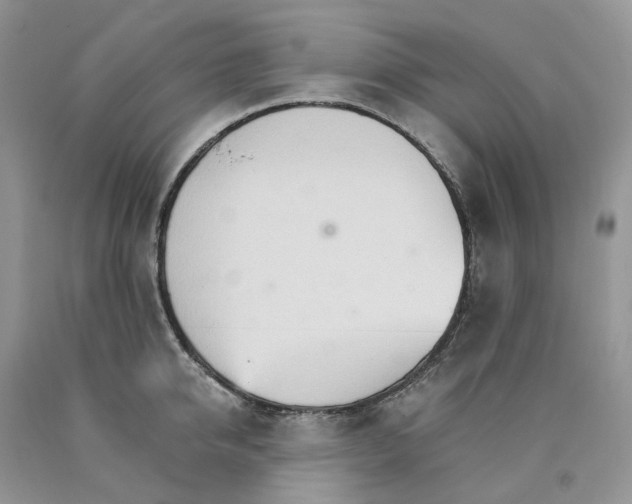 X0000089940950200707271815