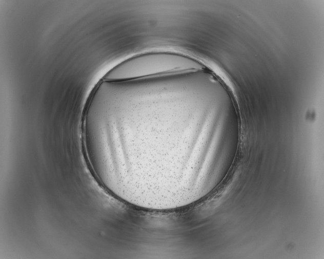 X0000089940951200707271815