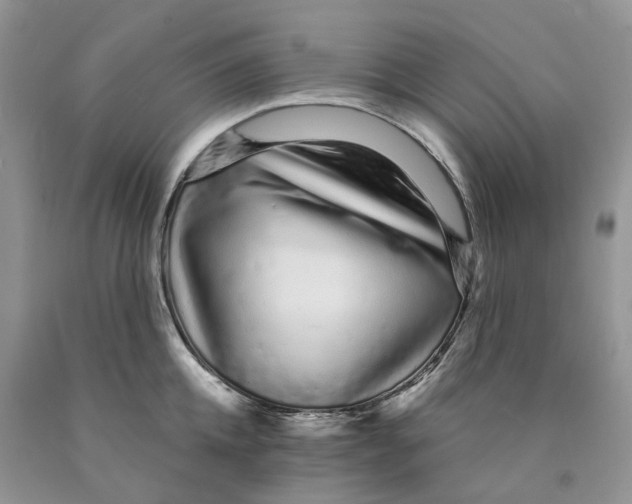 X0000089940952200707271815