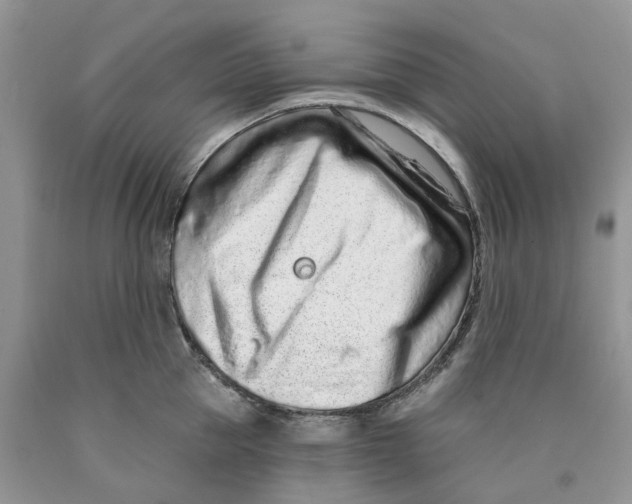 X0000089940953200707271815