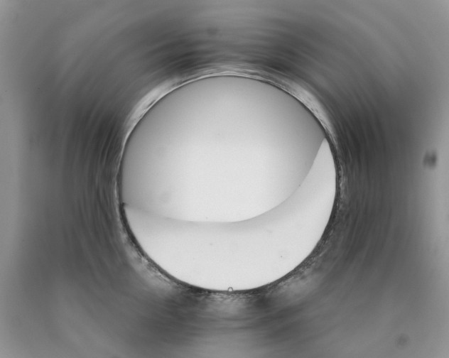X0000089940954200707271815