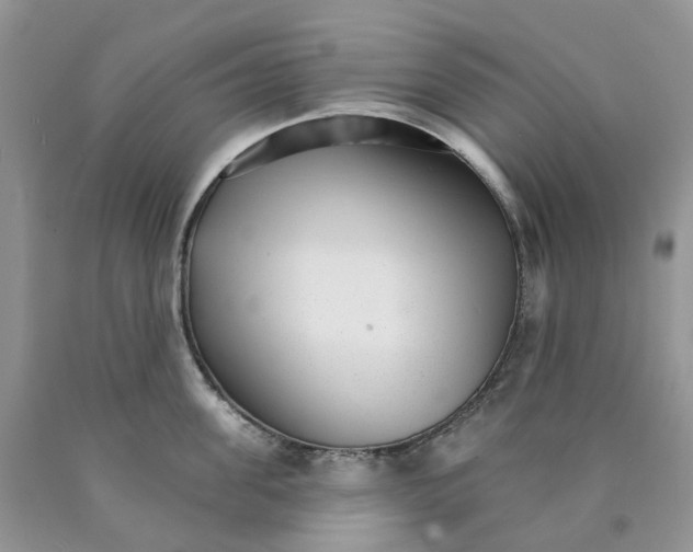 X0000089940955200707271815