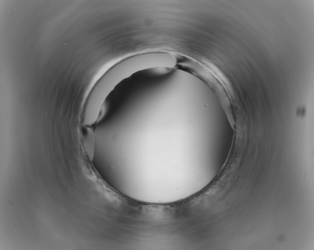 X0000089940956200707271815