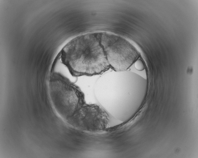 X0000089940957200707271815