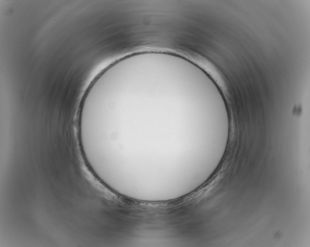 X0000089940958200707271815