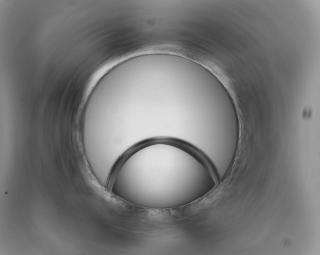 X0000089940960200707271815