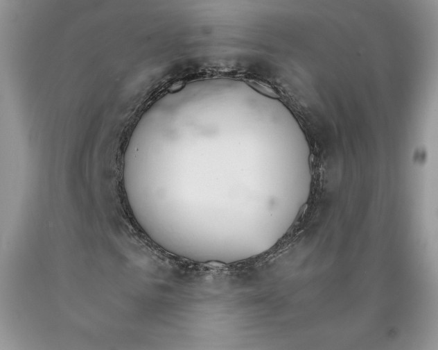 X0000089940961200707271815