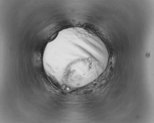 X0000089940963200707271815