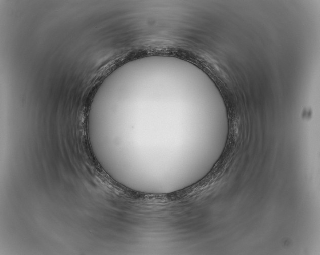 X0000089940964200707271815