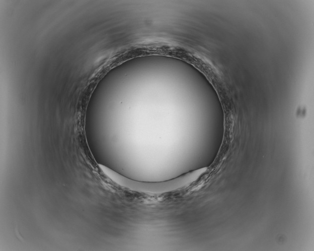 X0000089940965200707271815