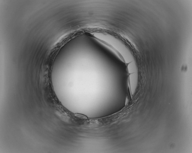 X0000089940968200707271815