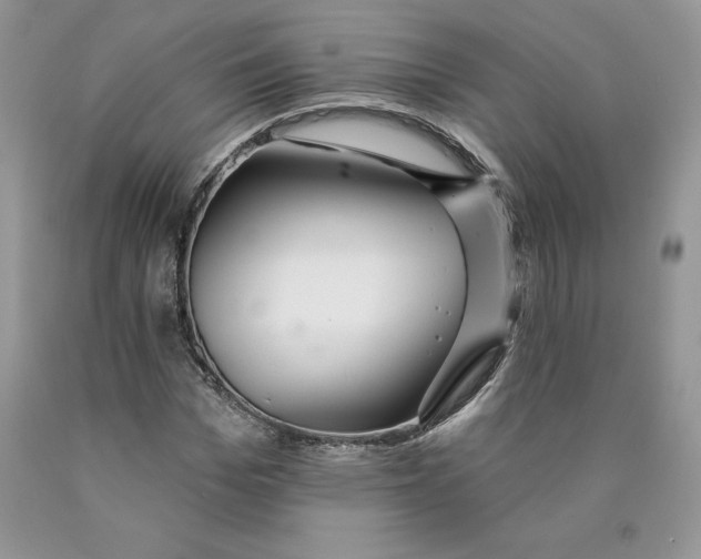 X0000089940969200707271815