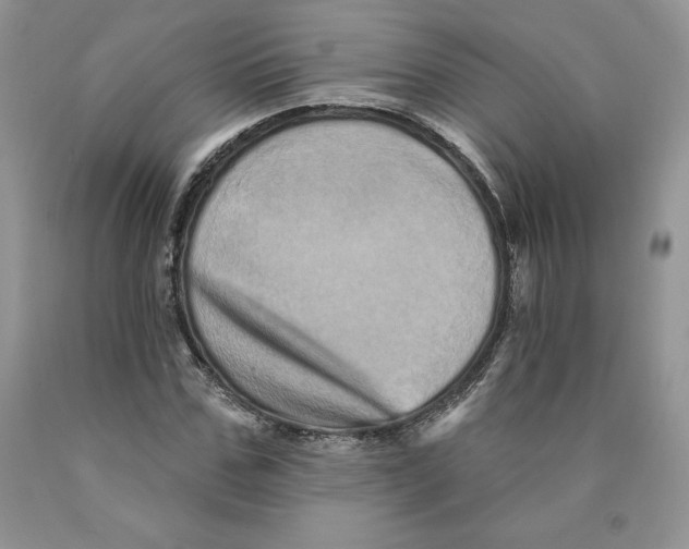 X0000089940971200707271815