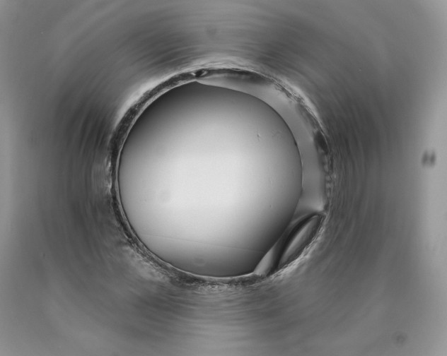X0000089940973200707271815