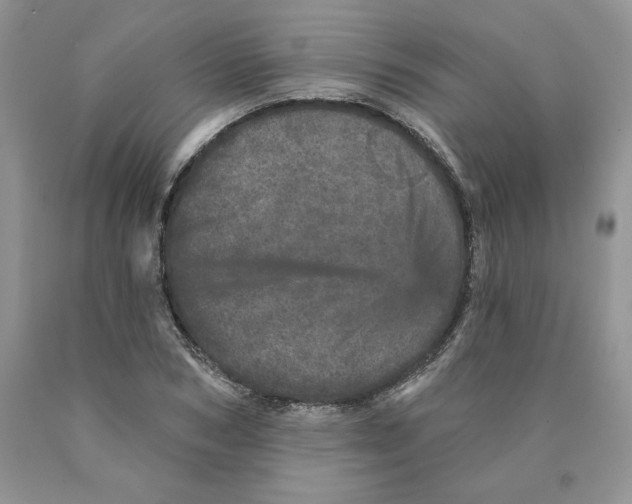 X0000089940978200707271814