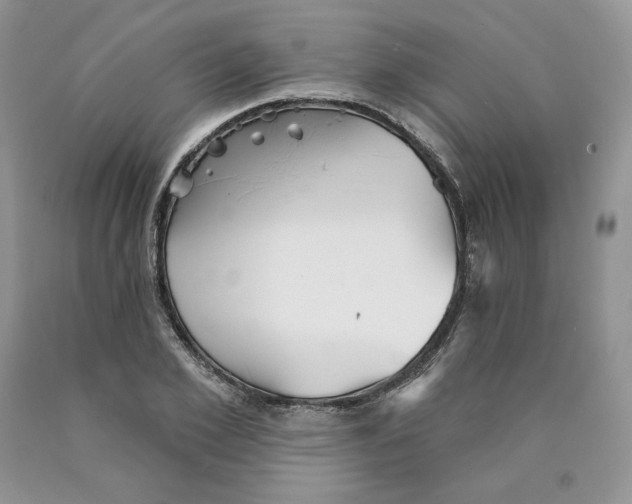 X0000089940981200707271814