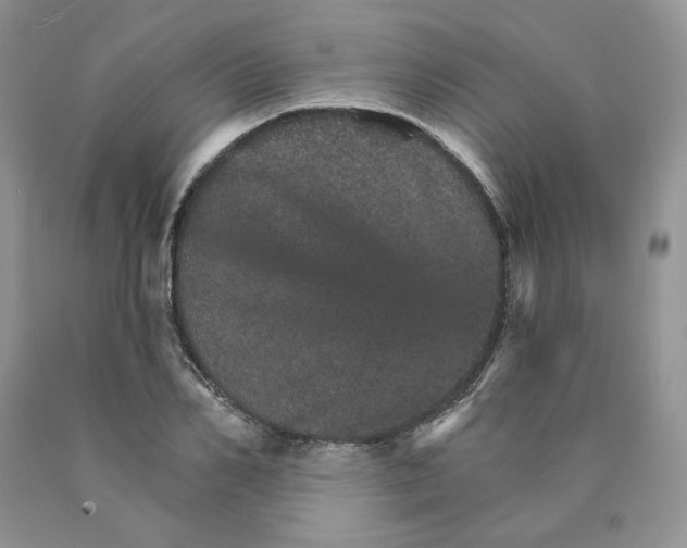 X0000089940982200707271814