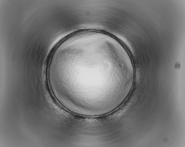 X0000089940983200707271814