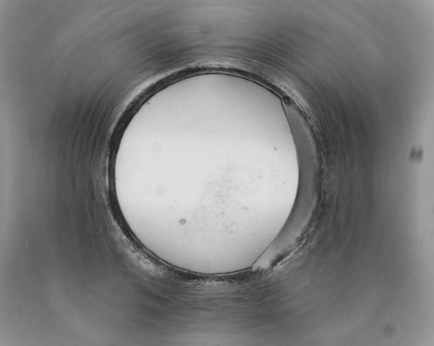 X0000089940984200707271814