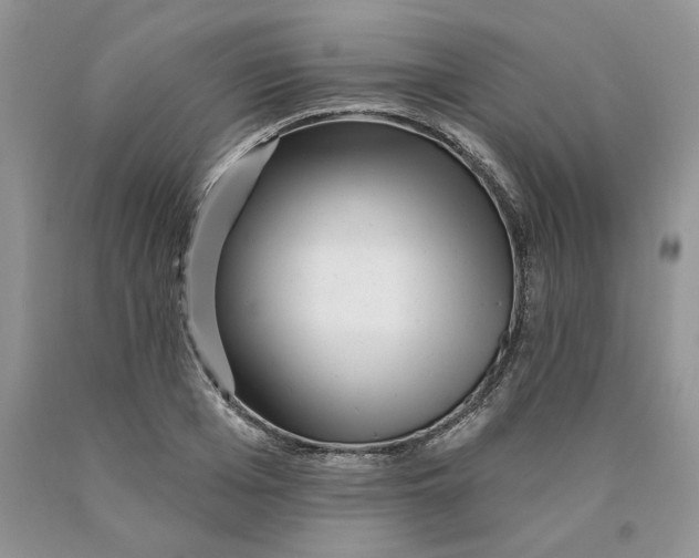 X0000089940985200707271814