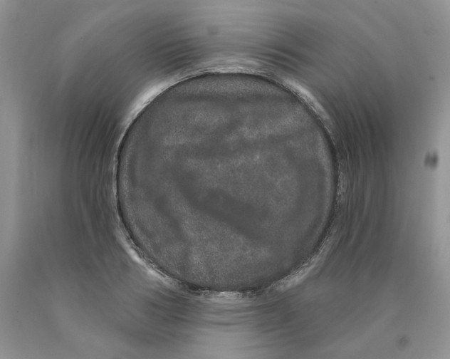 X0000089940986200707271814