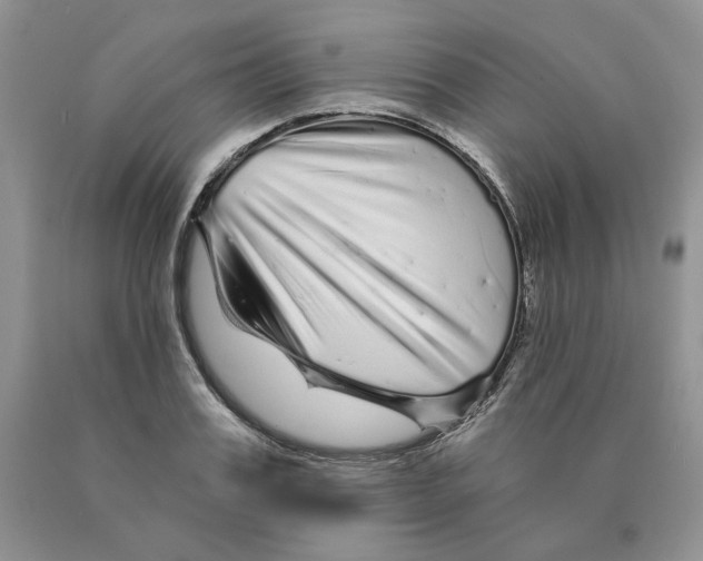 X0000089940987200707271814