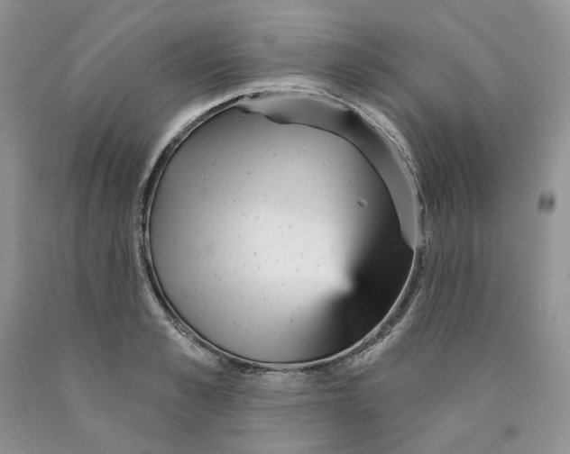 X0000089940989200707271814