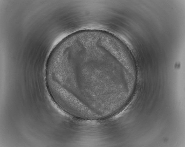 X0000089940990200707271814