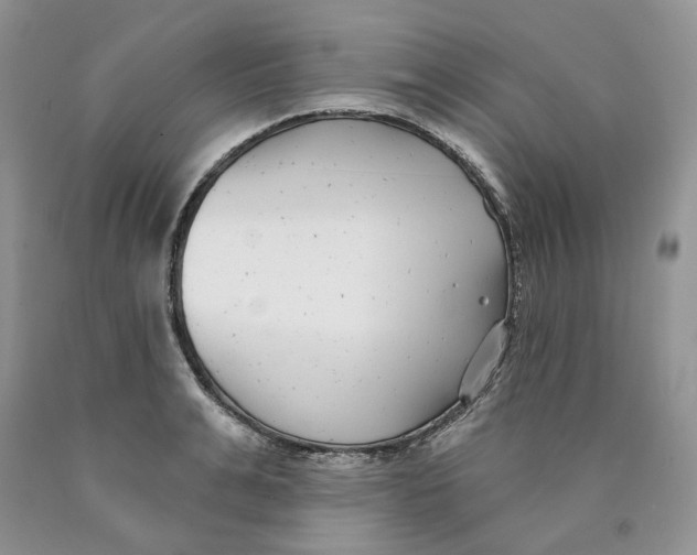 X0000089940991200707271814