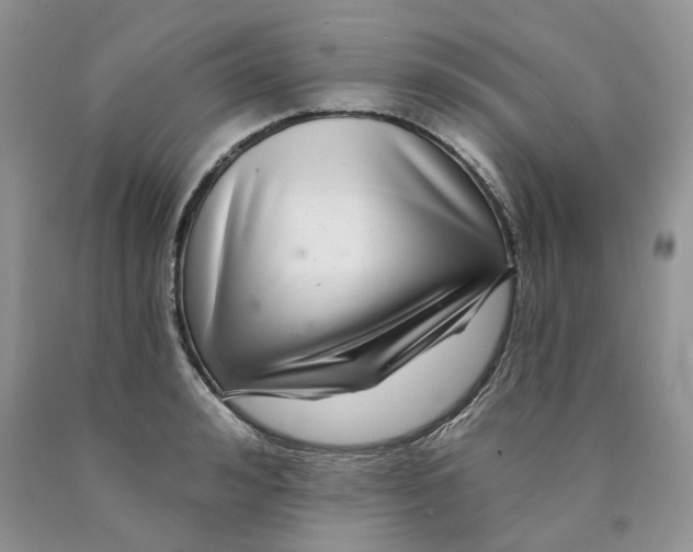X0000089940992200707271814