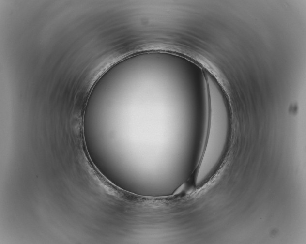 X0000089940993200707271814