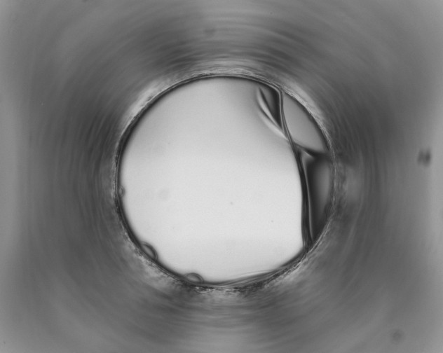 X0000089940994200707271814