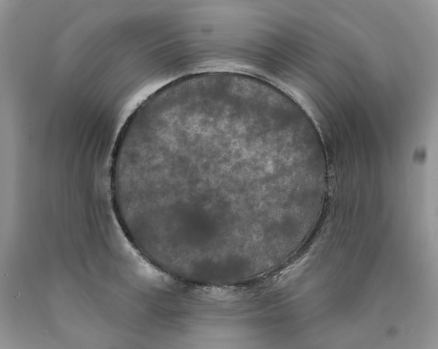 X0000089940995200707271814