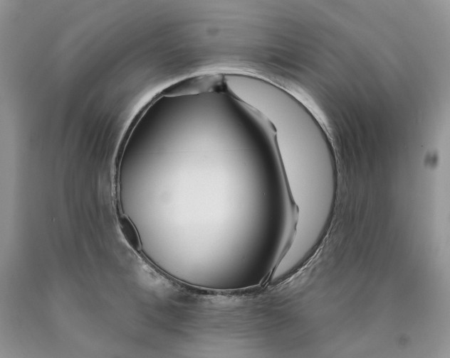 X0000089940996200707271814