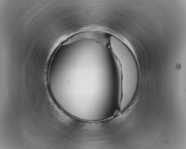 X0000089940997200707271814