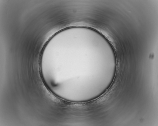X0000089940998200707271814