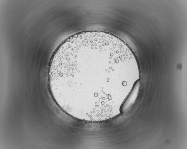 X0000089941000200707271814