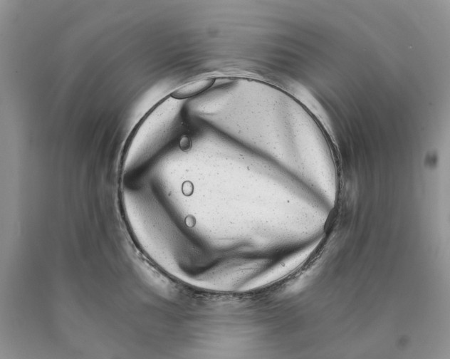 X0000089941002200707271814