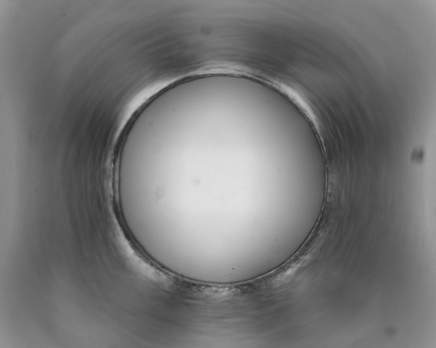 X0000089941003200707271814